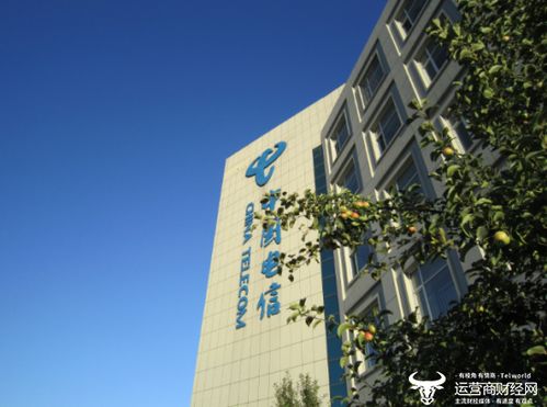 吉林电信政企事业群总经理王卓从长春电信副总提拔 曾兼任部门副总