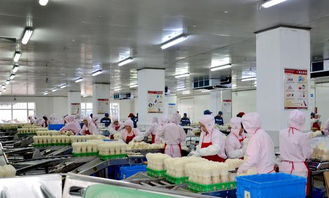 长春高榕生物科技 深耕食用菌产业 用科技还原生态之美