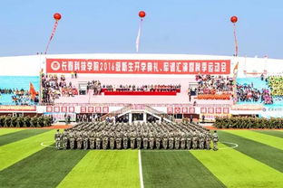 开学季,相约在双阳高校