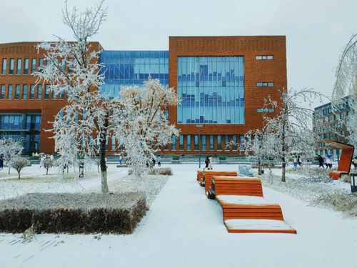 邂逅 水晶 般的浪漫 一起看看初雪后吉林高校校园有多美