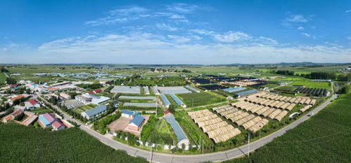长春市现代菌物产业科技成果转化示范基地揭牌暨首届中国 长春 灵芝孢子粉采收节启动仪式在净月高新区举行